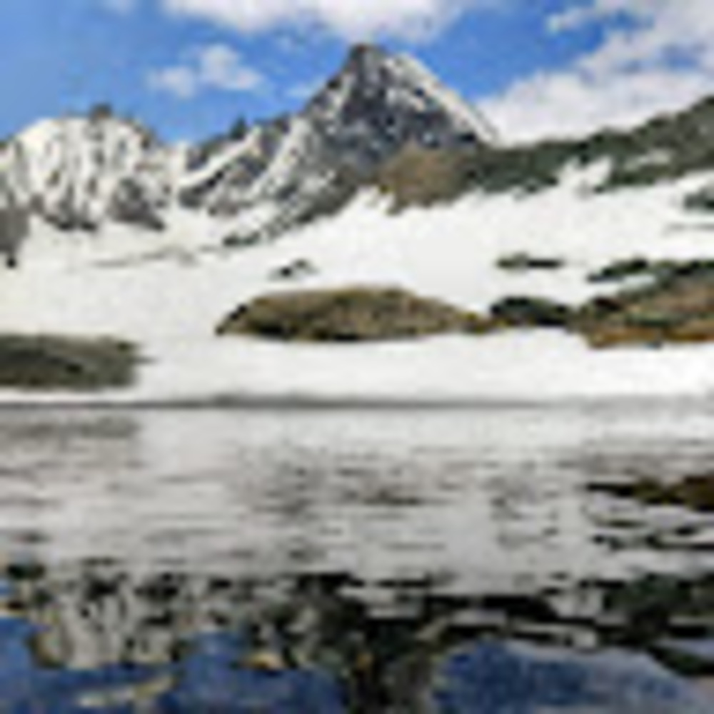 Meet your Posher, Briar